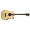 Furch Blue Plus OM-SW