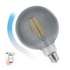 LED žiarovka GLOBE E-27 230V 4,9W COG 230V CCT (4000K-6500K)+DIM Wi-Fi/BT SMART, SPECTRUM WOJ14559