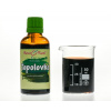 Topolovka - bylinné kapky (tinktura) 50 ml - doplněk stravy