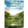 Celestinské proroctví ( plast ) DVD