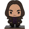 CRYSTAL ART Diamantové maľovanie Harry Potter: Severus Snape