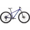 Rekreačný horský bicykel SPECIALIZED Rockhopper Comp 29 Fialová Veľkosť rámu: L Rekreačný horský bicykel