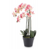 Umelá Ružová Orchidea 70cm