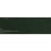 Rako Obklad Compila botanic 10x30 cm lesk GARJD863.1