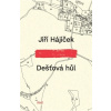 Dešťová hůl - Jiří Hájíček