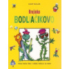 Krajinka Bodliačikovo - Jozef Kollár