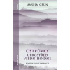 Ostrůvky uprostřed všedního dne - Anselm Grün