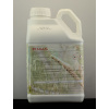 Pinus, 5 l