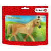 DARČEK PRE MALÉHO KOBYLA PLEMENA TENNESSEE WALKER VRECKO ZÁBAVA