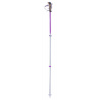 PINGUIN Ascent FL Cork Violet