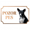 Basenji - Kovová tabuľka POZOR PES