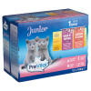 PreVital 12x100 g jahňa,losos pre mačky