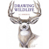 Drawing Wildlife