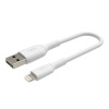 Belkin Lightning kabel, 15cm, bílý CAA001bt0MWH
