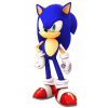 CUKROVÁ TLAČ jedlý obrázok na tortu Cukrová hmota Sonic Ježko + MENO TEXT
