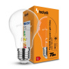 Technik Special Light špeciálna žiarovka A55 75W E27 teplá biela (TSL-75WE27)