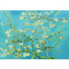 Puzzle Enjoy Vincent Van Gogh: Vetva mandľovníka 1000 dielikov (1125)