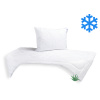 Brotex SET Prikrývka Aloe Vera 140x200cm zimná 1300g + Vankúš UNICO AloeVera 70x90cm 900g