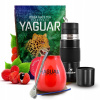 SET Yerba Mate Yaguar Energia Yerbomos X Cebador 500 g 0,5 kg