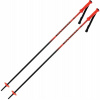 Zjazdové palice RDL6020-095 Rossignol