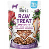 Brit (VAFO Praha s.r.o.) Brit Raw Treat Immunity, Lamb&Chicken 40g