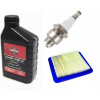 Vzduchový filter Sviečkový olej Briggs B&S 625 675 (Vzduchový filter Sviečkový olej Briggs B&S 625 675)