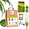 Záhradná pôda - Nastavená na transplantáciu zemskej pôdy pre Palm Juki Monster Dracaena Cycas (PRESÁDZACIA SÚPRAVA PÔDNY SUBSTRÁT PRE YUKI PALM MONSTERY DRACENA CYCASA)