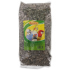 AVICENTRA Slnečnica pásikavá 0,5kg