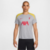 Nike Liverpool Strike Third Top 2024 2025 Adults Grey S