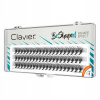 Riasy v trsoch Clavier