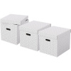Esselte Home kubická 32 x 31,5 x 36,5 cm, biela – sada 3 ks