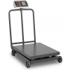 Steinberg Systems SBS-PF-600/100W