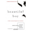 Beautiful Boy : A Father…