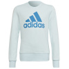 Sweatshirt adidas Big Logo Swt Jr HM8707 (108586) 140 CM