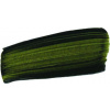 Golden Artist colors GOLDEN Open Acryl 59ml, rôzne odtiene Odtieň: Sap green hue-7461