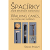Špacírky aneb brněnské korzování Walking Canes or strolling in Brno - Ryšavý Šimon