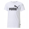 Puma Ess Logo Tee 586960-02