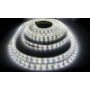 ECOLIGHT LED pásik - SMD 5050 - 5m - 60LED/m - 14,4W/m - IP65 - studená biela