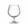 Brandy MONDO / INVITATION 400 ml (Rona Hotel & Restaurant)