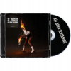 ST. VINCENT - ALL BORN SCREAMING CD