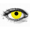 Lucifer Crazy šošovky - nedioptrické - VIVID YELLOW (2 šošovky)