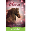 E-kniha Elena: Letní rozhodnutí - Nele Neuhaus