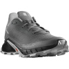 Salomon Alphacross 5 M L47313300 - pewter black/ghost gray 43 1/3