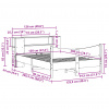 vidaXL Posteľ s matracom biela 120x200 cm borovicový masív - Biela - 224137-242045