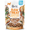 Brit (VAFO Praha s.r.o.) Brit Raw Treat Digestion, Chicken 40g