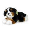 pes salašník ležící 23 cm