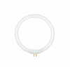 Lampa T4 12W 6500K 138 mm pre lampu s lupou