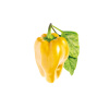 Click & Grow 4742793008950 sada príslušenstvo pre pestovanie 3 kusov Žltá paprika Uvádzacia sada