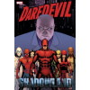 Daredevil: Shadowland Omnibus Cassaday Cover (New Printing) - Andy Diggle, Zeb Wells, Antony Johnston