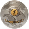 Fan-shop Lopta LIVERPOOL FC Camo s podpisy velikost: 5
